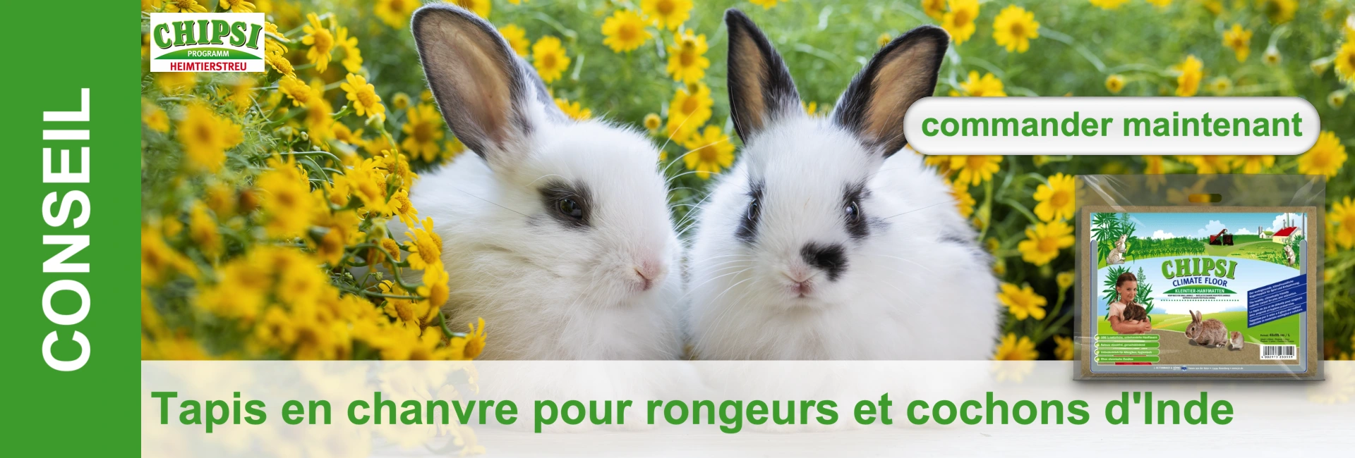 Deux adorables lapins blancs, avec des taches noires sur les oreilles et le nez, regardent curieusement depuis un champ de petites fleurs jaunes et de feuilles vertes. L'image promeut les tapis en chanvre pour rongeurs, lot à droite.