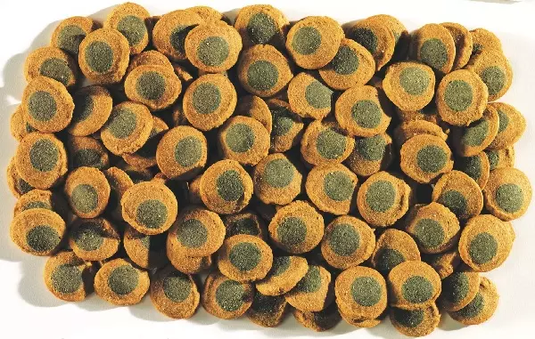 Tetra Pleco Spirulina Wafers Tetra Pleco Spirulina Wafers
