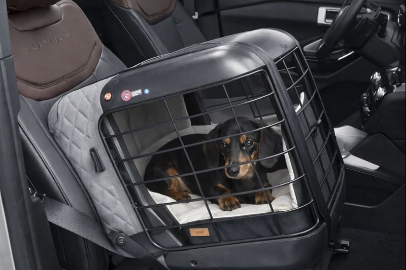 Autobox - Caree "Cool Grey"