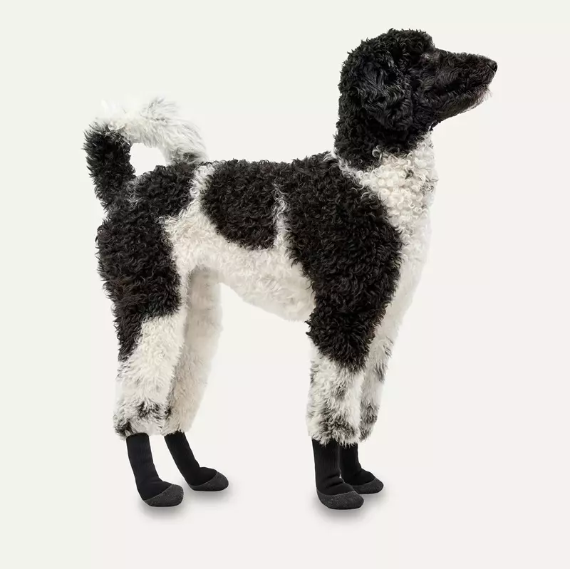Chaussures pour chiens Boots LITES en pack de 4