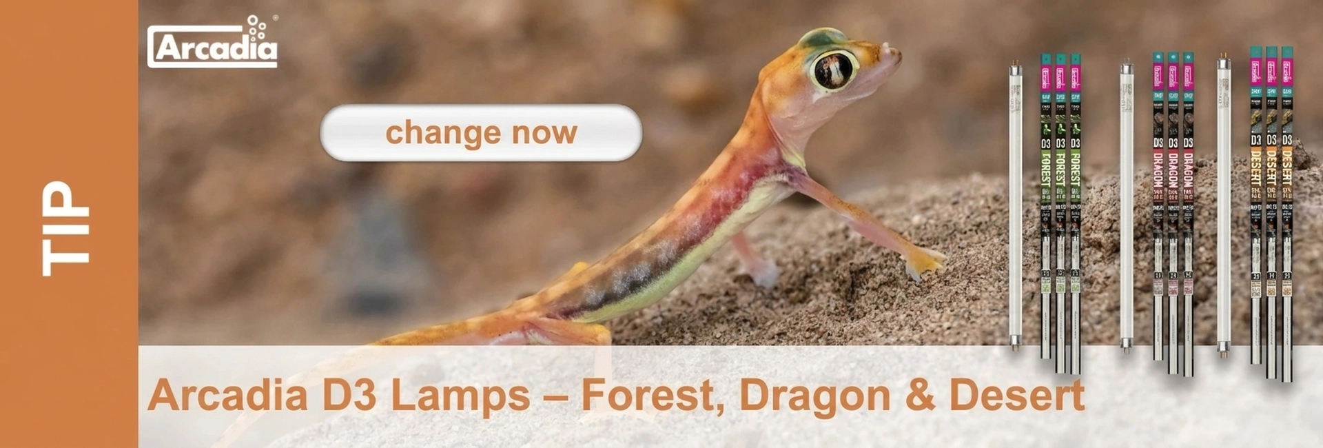 A colourful gecko on sand. On the right, Arcadia D3 lamps (Forest, Dragon, Desert) with the text ‘Arcadia D3 Lamps’. On the left, a ‘TIP’ banner.