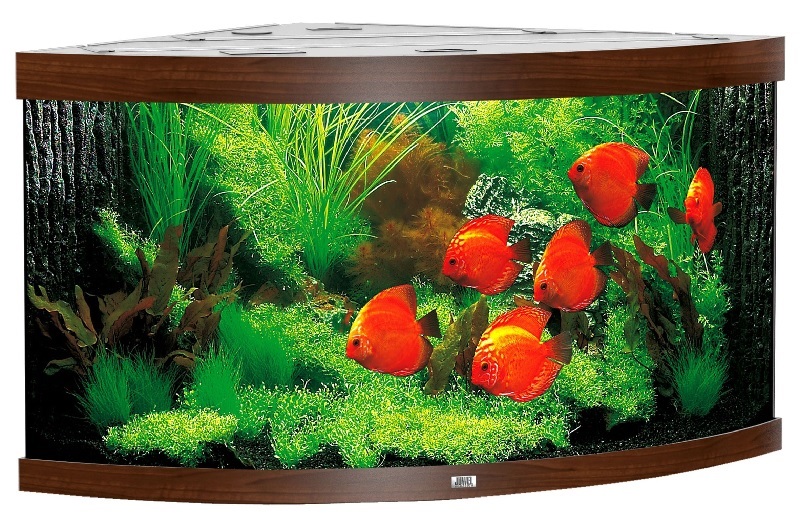 Juwel Trigon Aquarium