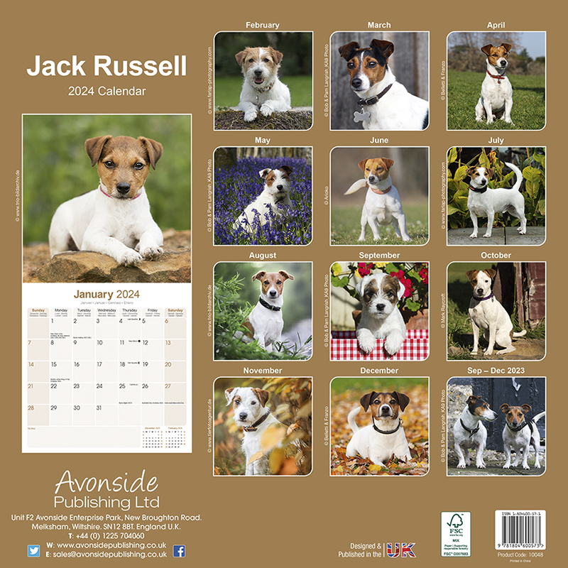 Kalender 2024 Jack Russell Terrier - Parson Russell Terrier