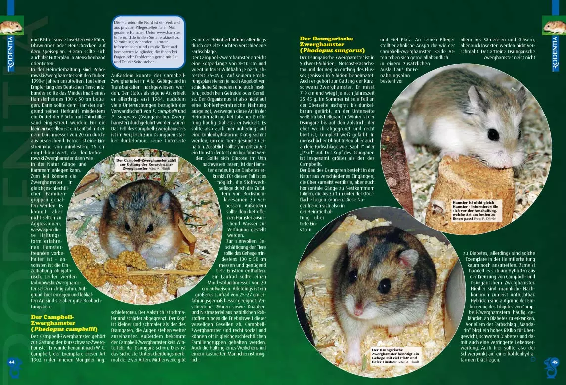 rodentia-75-ein-leben-ohne-gitter-4 Rodentia 75 - Ein Leben ohne Gitter
