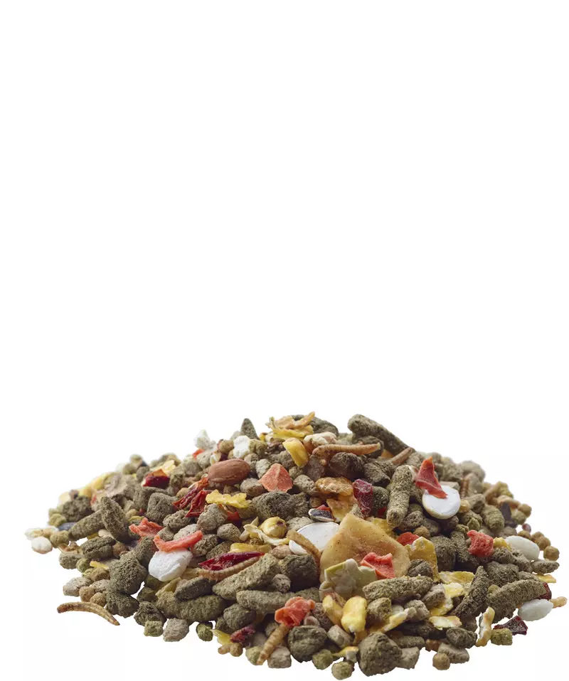 Rennmaus Nature von Versele-Laga 700g