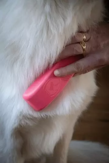 Excellent Pets Pflegebürste Excellent Pets Pflegebürste
