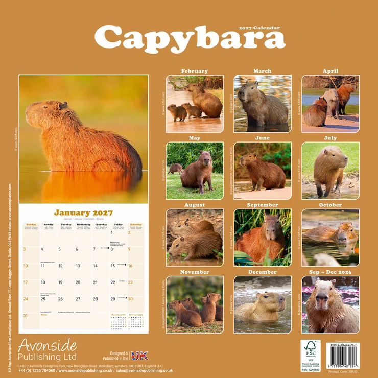 Kalender 2027 Capybara - Wasserschwein - Cabiai