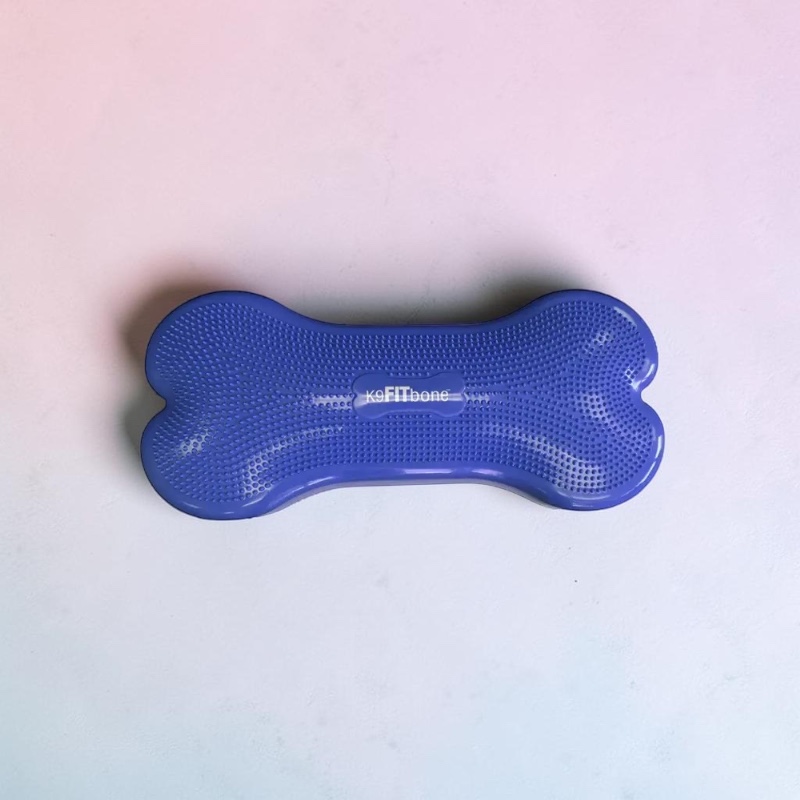 Blaues, knochenförmiges Hunde-Trainingsgerät auf hellem Untergrund. Viele kleine Noppen sorgen für sensorische Stimulation und Halt. Als Balancekissen fördert es Fitness und Koordination bei Haustieren. Schriftzug „K9FITbone“ mittig.