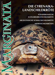 Marginata Nr. 25 - Cyrenaika-Landschildkröten
