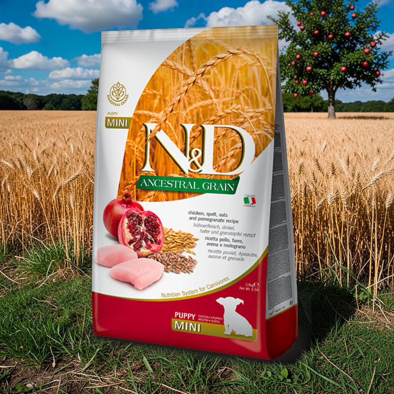 Ancestral Grain Trockenfutter mit Huhn, Dinkel, Hafer & Granatapfel Mini Puppy