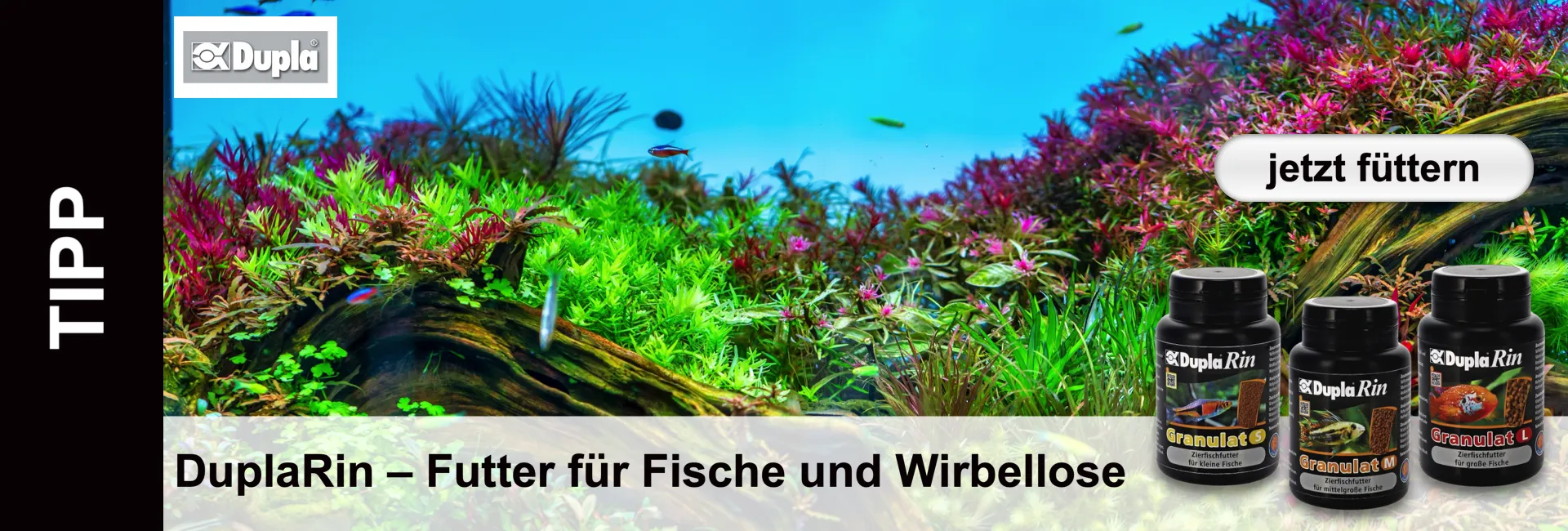 Un acquario colorato con pesci, piante e tre lattine di cibo nere del marchio DuplaRin in primo piano.
