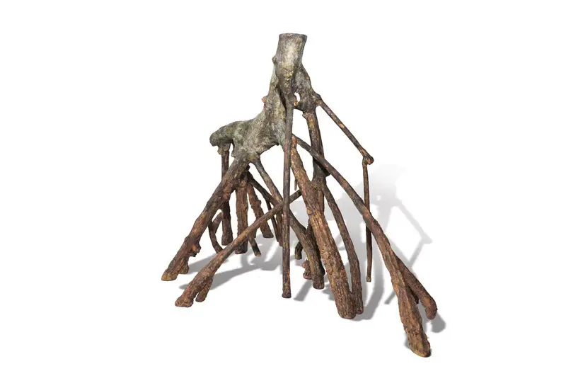 Geflecht aus dicken, verzweigten Wurzeln, die von einem zentralen, verholzten Stamm nach unten ragen. Dunkelbraun, rau und faserig; der obere Stamm wirkt heller und grauer. Steht aufrecht, mit klaren Schatten.