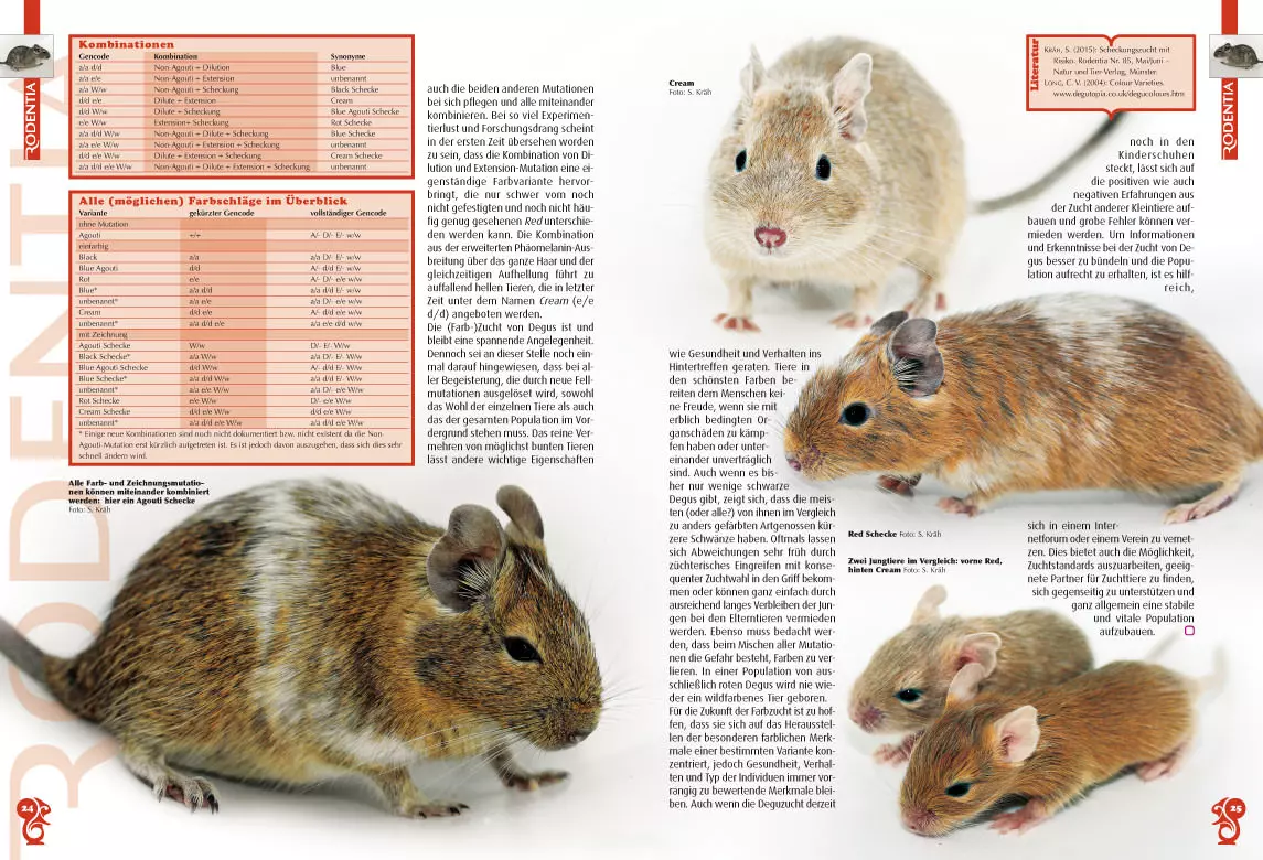 rodentia-87-zucht-mit-fachkenntnis-und-verantwortung-4 Rodentia 87 - Zucht - mit Fachkenntnis und Verantwortung