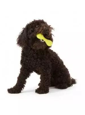 West Paw Hurley Bone