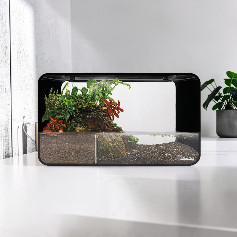 SuperFish Paludra 60 Paludarium auf weißer Fläche. Links bepflanzter Landbereich mit grünen und roten Pflanzen auf moosbewachsener Wurzel. Rechts klarer Wasserbereich mit dunklem Kies und mehreren roten Garnelen. Natürlicher Übergang.