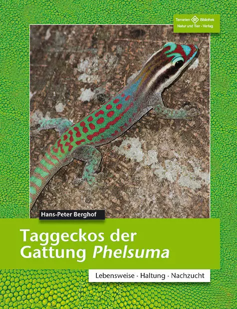 NTV Taggeckos der Gattung Phelsuma