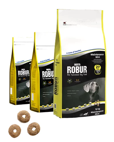 Robur Maintenance Mini