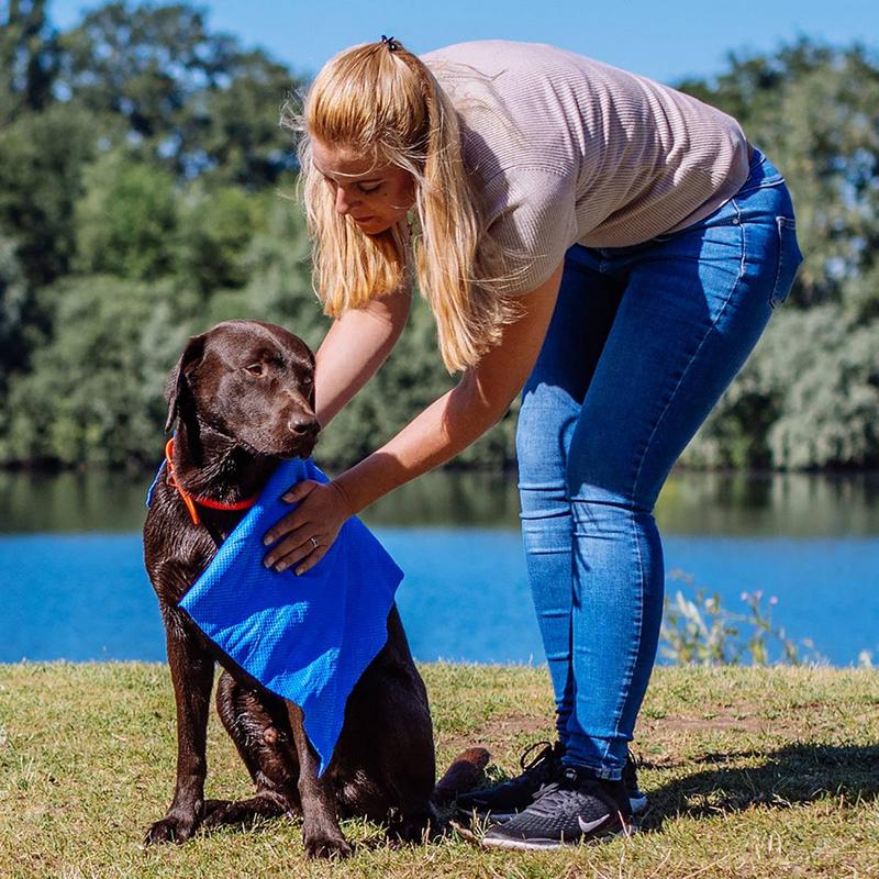 Eine blonde Frau beugt sich über einen braunen Labrador am Ufer eines blauen Sees. Sie hält ein leuchtend blaues, strukturiertes Handtuch über den nassen Hund, um ihn abzutrocknen oder abzukühlen. Im Hintergrund: grüne Bäume, blauer Himmel.