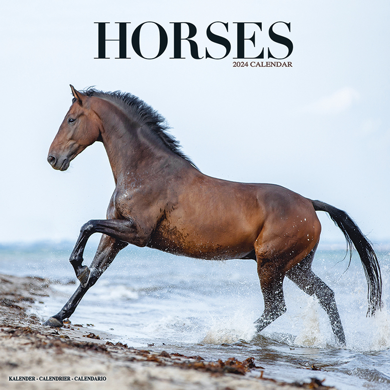Kalender 2024 Pferde - Pferd - Horses