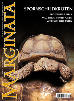 Marginata 16 - Spornschildkröten