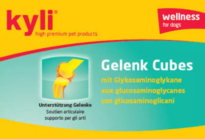 Kyli Glugosamin Gelenk Cubs