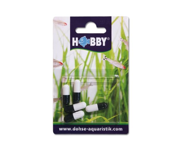 Köder für Planarien