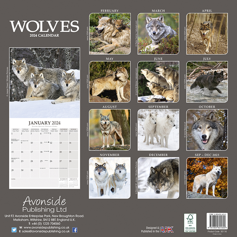 Kalender 2024 Wolf - Wölfe - Wolves