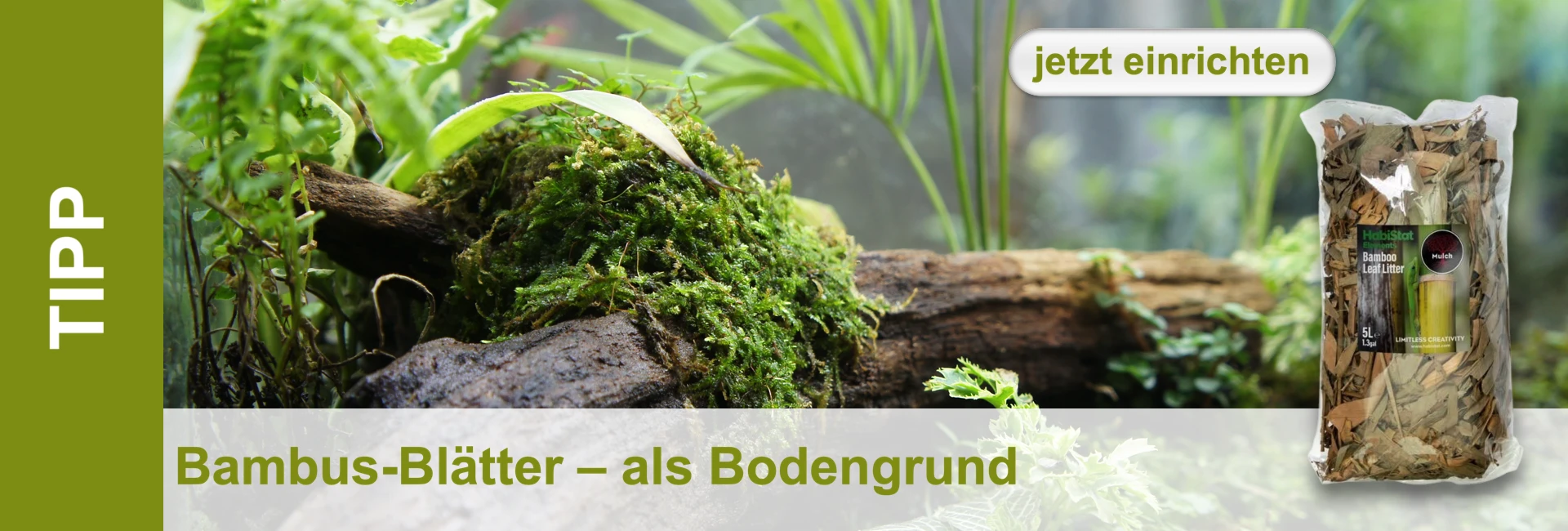 Primo piano di rami ricoperti di muschio, pacchetto di foglie di bambù nel terrario.