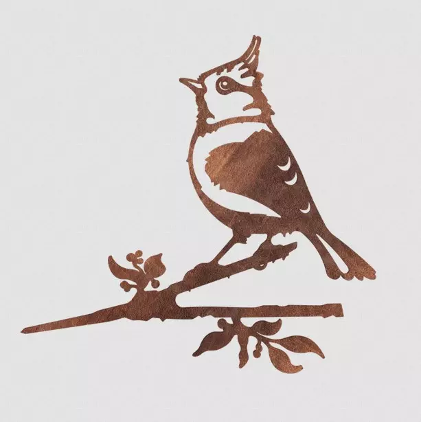 Tree plug crested tit
