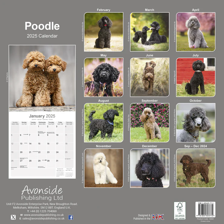 Kalender 2025 Pudel - Poodle - Caniche Kalender 2025 Pudel - Poodle - Caniche
