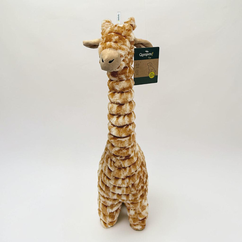 Quapas! Giraffe