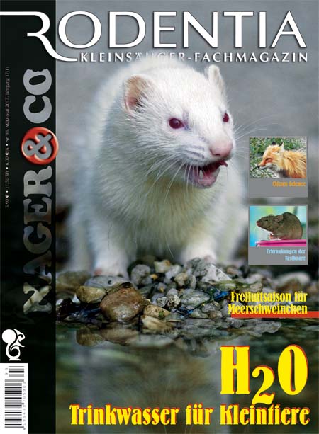 Rodentia 93 - H2O Trinkwasser für Kleintiere