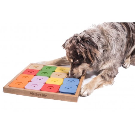My Intelligent Pets - Sudoku Medium Genie Color