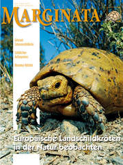 Marginata 44 - Europäische Landschildkröten in der Natur beobachten