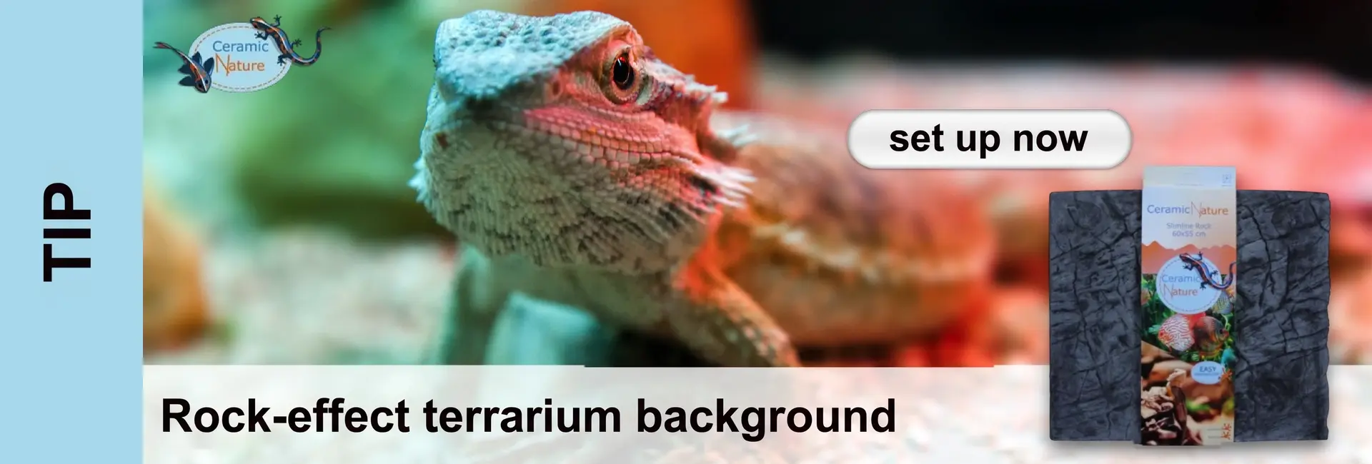 A bearded dragon sits in a terrarium against a blurred green and red background. Bottom right shows a dark rock-like back wall with a packet labelled ‘Ceramic Nature Slimline Rock’ in front. Left reads ‘TIP’, top has ‘set up now’.