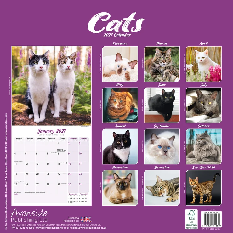Kalender 2027 Cats - Katzen - Felis