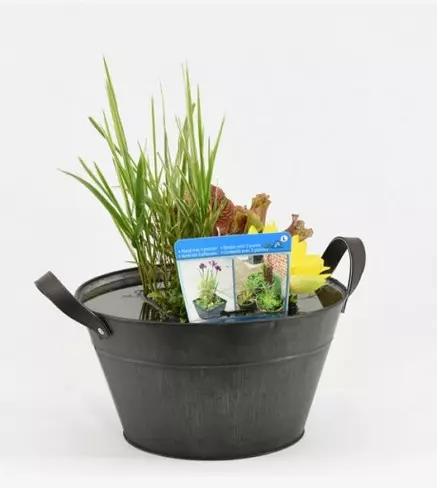 Terrassenteich Set - Zink Wanne