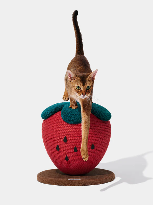 Balle à gratter fraise