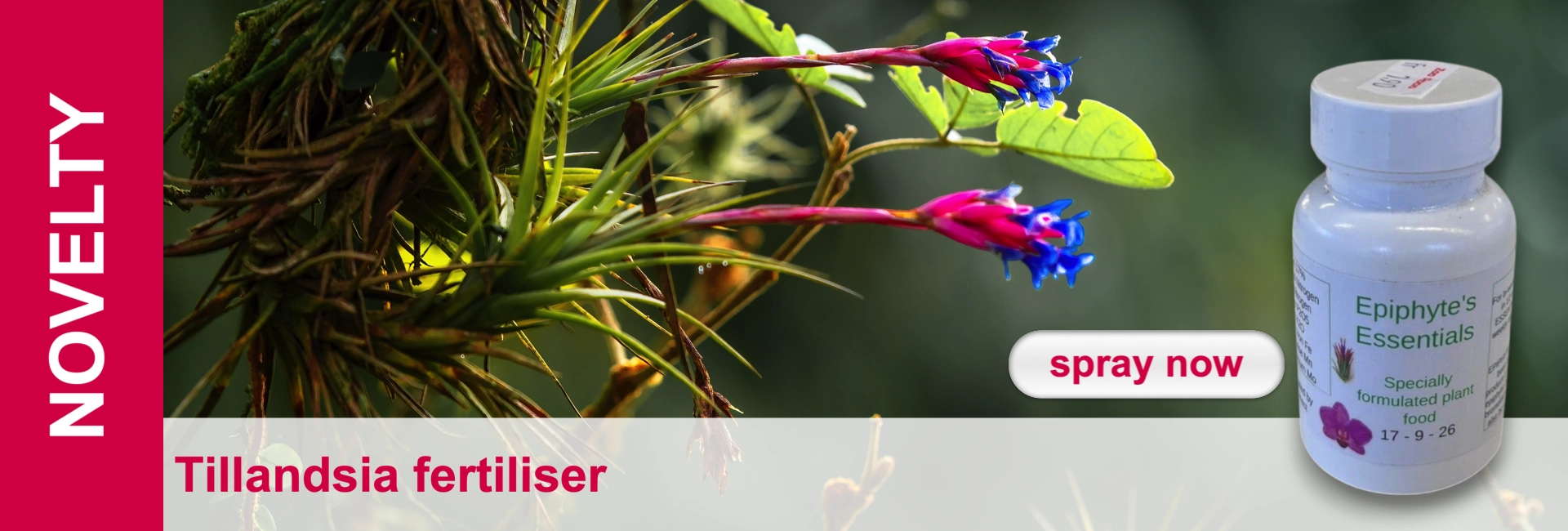 Flowering tillandsias and a white bottle of fertiliser labelled "Epiphyte's Essentials".
