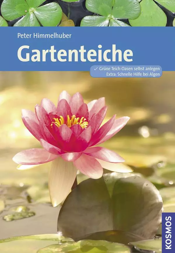 Kosmos Gartenteich