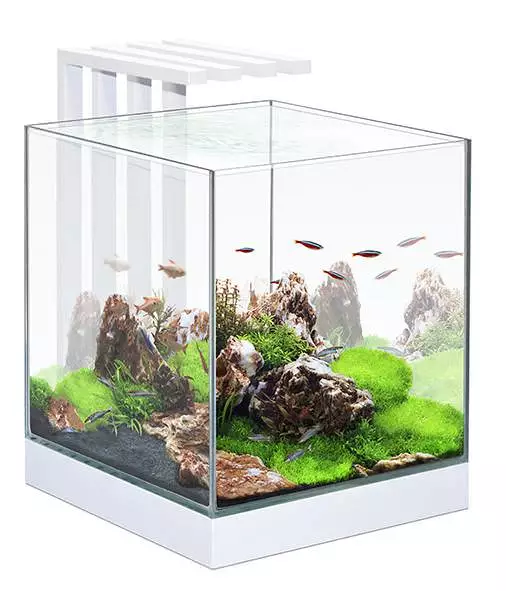 Nexus Pure 25 Nano Aquarium