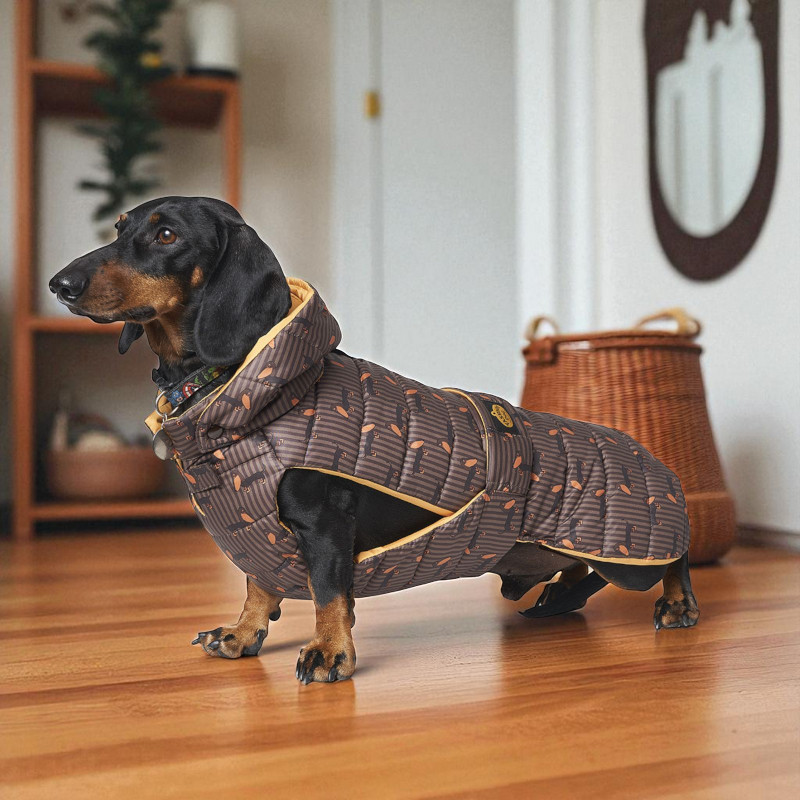 Fashion Dog waterproof quilted dog coat especially for dachshunds - 33 cm