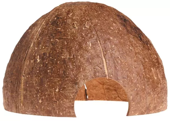 cocos-cava-1