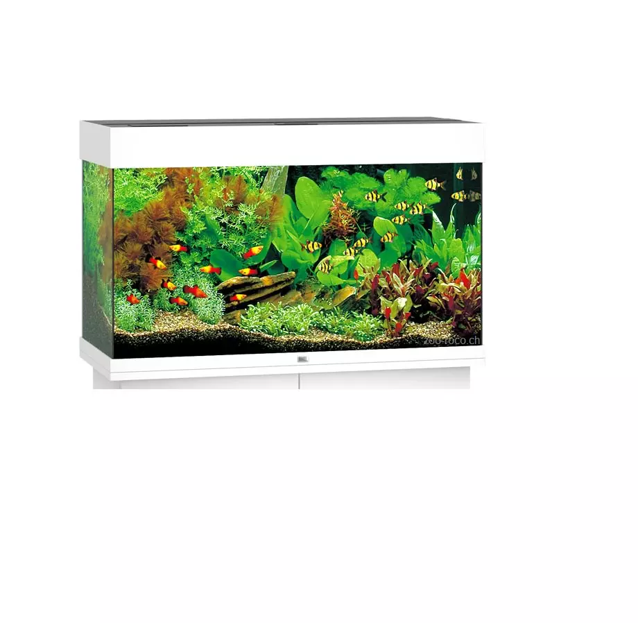 weiss-aquarium578f3c0631b37 Juwel Aquarium Rio 125