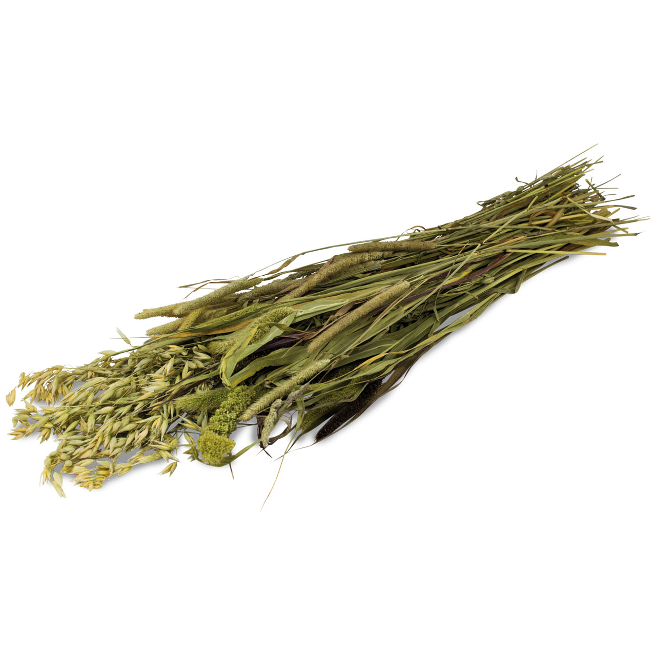 A bouquet of dried grasses and ears of grain lies diagonally across a white background. It consists of oats, millet and long, slender blades of grass in shades of green and brown. The textures and shapes are clearly visible.