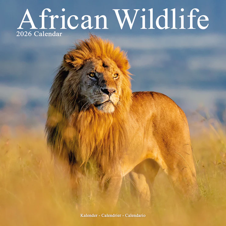 Calendrier 2025 Faune sauvage africaine