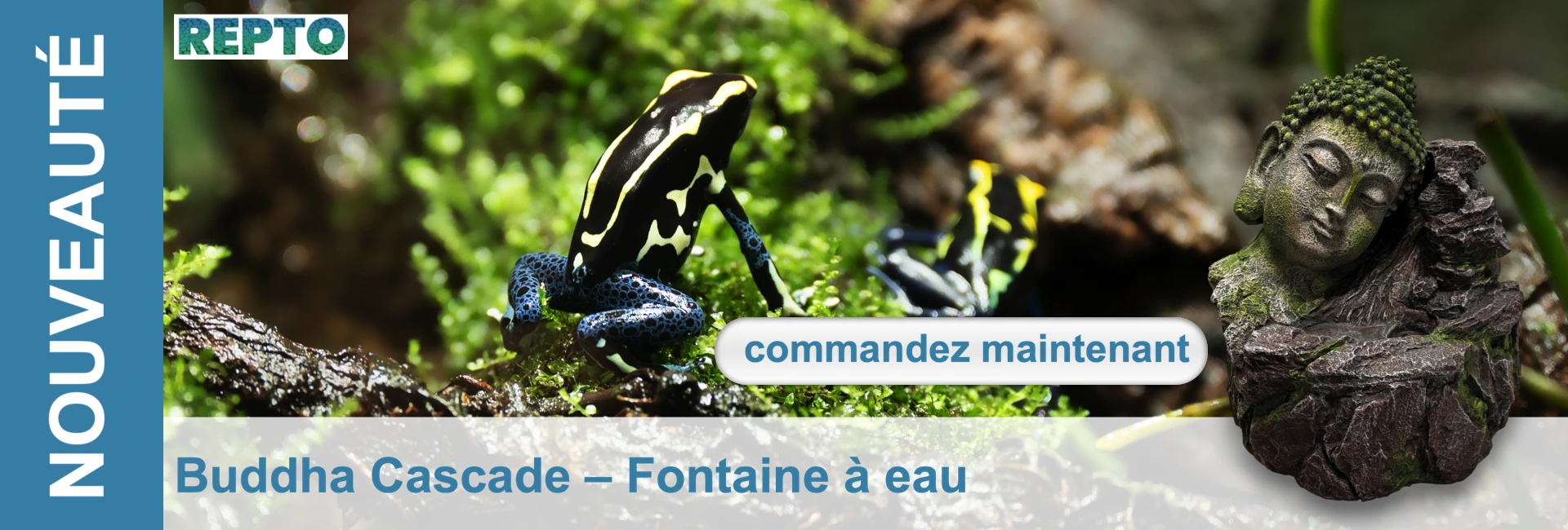 Une grenouille dendrobate rayée de noir et jaune, aux pattes bleues, est assise sur de la mousse verte dans son habitat naturel. À l'arrière-plan, on voit une autre grenouille et une statue de Bouddha moussue, fontaine en cascade.