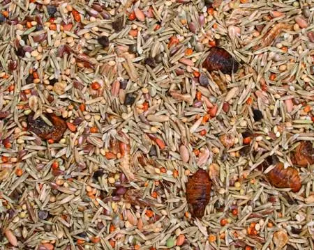 futtermischung-8 JR Kleinnager-Spezial 600 g