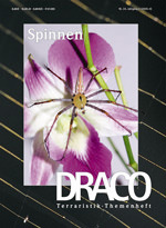 Draco 24, Spinnen