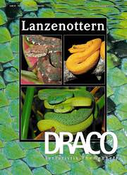 Draco 33 Lanzenottern 